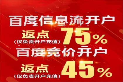 百度联盟推广网络覆盖的案例研究